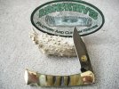 Buck 110 S30V Ram Horn #1.jpg