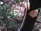 DSC02317.jpg
