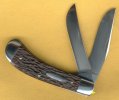 Davis Saddlehorn.jpg
