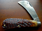 case pruner.png