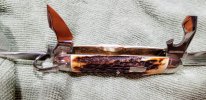 20190731_074245 sized 40.jpg