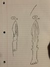 IMG_2428.jpeg