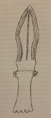 IMG_2429.jpeg
