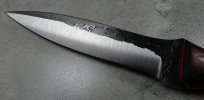 DSC02177.JPG