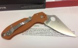 Para3-Rex45-back.jpg Para3-Rex45-back.jpg