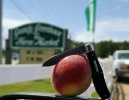 20170617_110645_zpskbgzpvye_edit_1497741446661.jpg