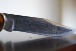 DSC_0004-3.jpg