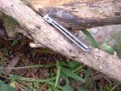 He-Man Hunter for Mike no clip 009.jpg