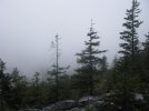 IMG_2757.jpg