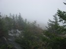 IMG_2759.jpg