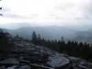 IMG_2768.jpg