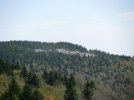 IMG_2801.jpg