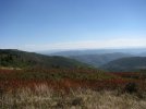 IMG_2802.jpg