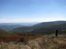 IMG_2803.jpg