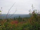 IMG_2843.jpg
