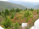 IMG_2849.jpg