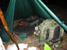 IMG_2831.jpg