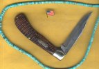 Tested Saddlehorn 1.jpg
