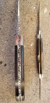 20190823_072953 sized 40.jpg
