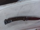 Buck 110 slim pro brown Rgr (4).jpg