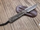 Raindrop Damascus Sebenza 21 - 6.jpg