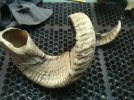 Sheep Horn1.jpg