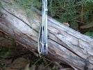 BUSSTR Frame lock bead blasted 002.jpg
