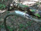 DSC02409.jpg