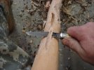 DSC02420.jpg