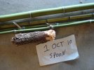 DSC02429.jpg