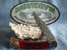 Buck 110 Full Chipflint Crimson Stag Bone #1.jpg