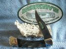 Buck 110 NS Buckcote Water Buck Horn #1.jpg