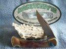 Buck 110 S30V Kudu Horn #1.jpg