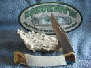 Buck 110 White Bone #1.jpg