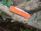 Cathy's Kiridashi south paw 019.jpg