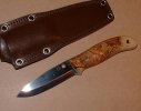 spyderco1.jpg