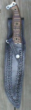 FSH in sheath.jpg