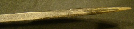 DSC02747.jpg