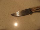 IMG_7318.jpg