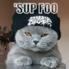 Gangster-cat.jpg