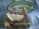 Buck 110 Ram Horn #1.jpg