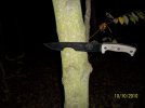 Survival 1 319.jpg