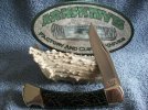 Buck 110 NS Black Prickly Pear Cactus #1.jpg