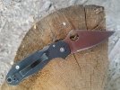 Para 3 1.jpg
