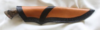 168 in sheath.jpg