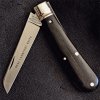 Waynorth first Ebony.jpeg
