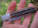 w2 & stag slipjoint 035.JPG