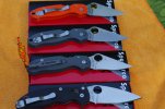 4Sept2019 Para 3's & Manix 2 006.JPG