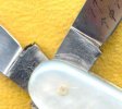 Simmons Germ 6.jpg
