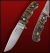 Sheep-horn-6.39.53-PM.jpg
